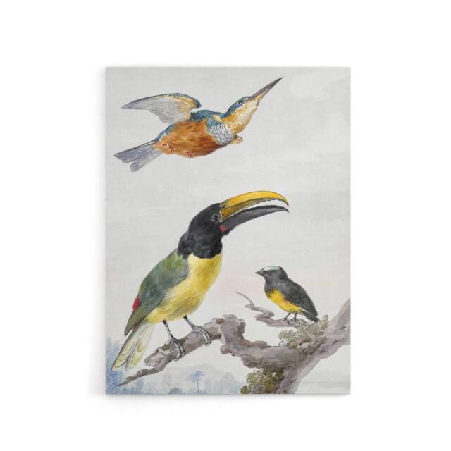 "Artery8 Kingfisher Toucan Bird & a Sparrow Schouman Canvas Wall Art Print in White - Size: W12"" x H16""" - image 1