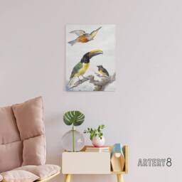 "Artery8 Kingfisher Toucan Bird & a Sparrow Schouman Canvas Wall Art Print in White - Size: W12"" x H16""" - thumbnail 3