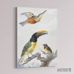 "Artery8 Kingfisher Toucan Bird & a Sparrow Schouman Canvas Wall Art Print in White - Size: W12"" x H16""" - thumbnail 2