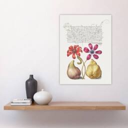 "Artery8 Poppy Anemone Fig & Quince Calligraphy Wall Art Poster Print in White - Size: W24"" x H32""" - thumbnail 4