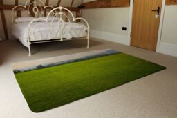 Benjamin Tate Design Image Of Lush Grass Field Designer Rug in Natural - Size: Large - thumbnail 3