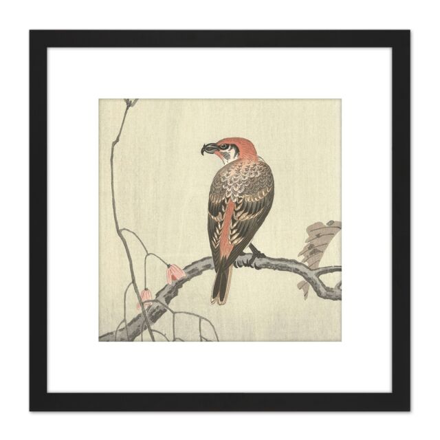 Artery8 Ohara Koson Crossbill On Tree Branch Japan 8X8 Inch Square Wooden Framed Wall Art Print Picture with Mount in Black - image 1