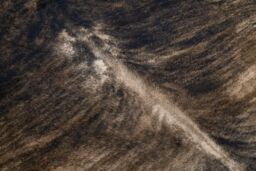 RugsX Cow Hide Rug in Brown - Size: 155 cm x 195 cm - thumbnail 5