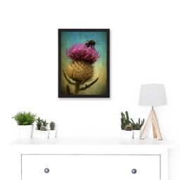 Artery8 Photo Bumble Bee Thistle Flower Scotland Picture A4 Artwork Framed Wall Art Print in Black - thumbnail 2