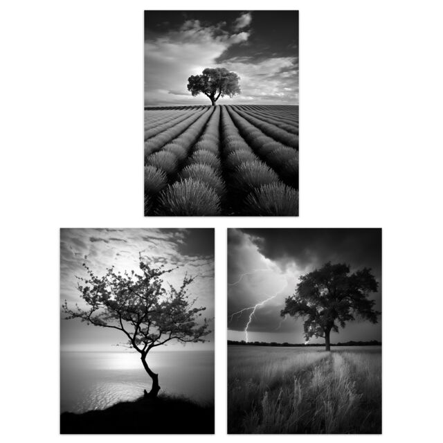 Artery8 Set of 3 Lone Tree & Storm Clouds Black & White Photographs Atmospheric Coastal Landscape Unframed Wall Art Living Room Poster Prints Pack - image 1