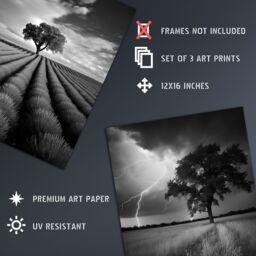 Artery8 Set of 3 Lone Tree & Storm Clouds Black & White Photographs Atmospheric Coastal Landscape Unframed Wall Art Living Room Poster Prints Pack - thumbnail 4