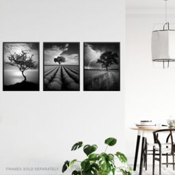 Artery8 Set of 3 Lone Tree & Storm Clouds Black & White Photographs Atmospheric Coastal Landscape Unframed Wall Art Living Room Poster Prints Pack - thumbnail 3