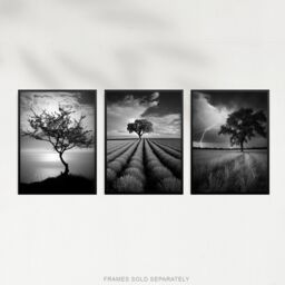 Artery8 Set of 3 Lone Tree & Storm Clouds Black & White Photographs Atmospheric Coastal Landscape Unframed Wall Art Living Room Poster Prints Pack - thumbnail 5
