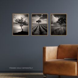 Artery8 Set of 3 Lone Tree & Storm Clouds Black & White Photographs Atmospheric Coastal Landscape Unframed Wall Art Living Room Poster Prints Pack - thumbnail 2