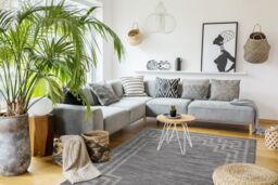 RugsX Patio Rug in Black - Size: 117 cm x 170 cm - thumbnail 4