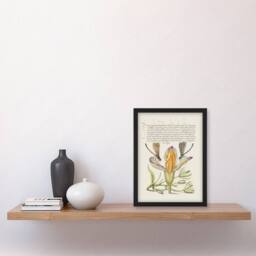 Artery8 Model Book of Calligraphy Framed Wall Art Damselflies on Spanish Iris in Beige - Size: A4 - thumbnail 2