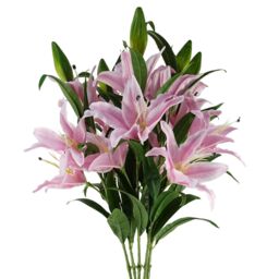 Leaf Pack of 6 x 100cm Large Pink Lily Stem - 18 Flowers - Size: 6 x 100 cm - thumbnail 1