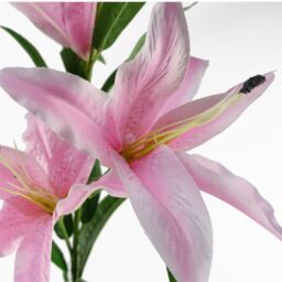 Leaf Pack of 6 x 100cm Large Pink Lily Stem - 18 Flowers - Size: 6 x 100 cm - thumbnail 2