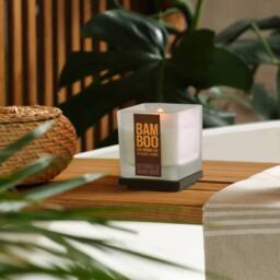 Bamboo Small Soy Wax Candle - Patchouli & Guaiac Wood in Cool White - thumbnail 2