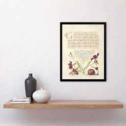 "Artery8 Gillyflower Fly Mayfly & Snail Calligraphy Framed Wall Art Print in Beige - Size: W12"" x H16""" - thumbnail 4