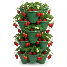 simpa Stackable Tri-Pot Plastic Strawberry Planters 6PC in Dark Green - thumbnail 2
