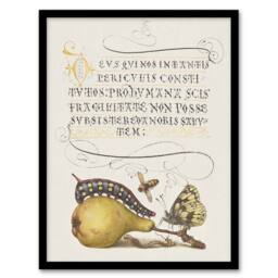 Artery8 Caterpillar Pear & Butterfly Calligraphy Framed Wall Art Print in White - Size: A4 - thumbnail 1