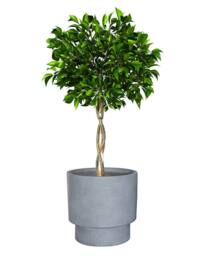 Dibor Medium Light Grey Fibre Clay Indoor Outdoor Garden Planter Houseplant Flower Plant Pot H30 x Dia30cm - thumbnail 2