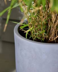 Dibor Medium Light Grey Fibre Clay Indoor Outdoor Garden Planter Houseplant Flower Plant Pot H30 x Dia30cm - thumbnail 4