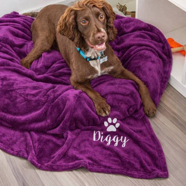 Duncan Stewart Personalised Dog Blanket Throw in Plum - image 1