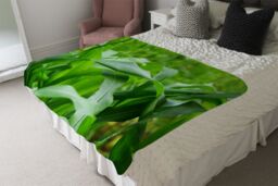 Benjamin Tate Design Green Leaves corn fields as background Designer Blanket in Natural - Size: 120 cm x 150 cm - thumbnail 4