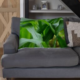 Benjamin Tate Design Green Leaves corn fields as background Designer Blanket in Natural - Size: 120 cm x 150 cm - thumbnail 2
