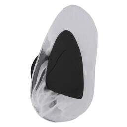 Netlighting Dorsey Integrated LED Wall Lamp Matt Black Clear Glass Shade LED 3000K - thumbnail 2