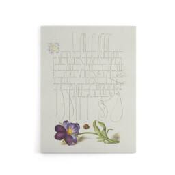 "Artery8 Ladybird & Wild Pansy Calligraphy Canvas Wall Art Print in White - Size: W12"" x H16""" - thumbnail 1