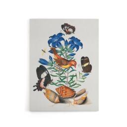 "Artery8 Red Avadavat Swallowtail & Shells Bolton Canvas Wall Art - Size: W24"" x H32""" - thumbnail 1
