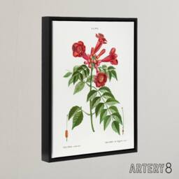 "Artery8 Trumpet Vine Flowers Redoute Vintage Black Framed Canvas Wall Art in White - Size: W12"" x H16""" - thumbnail 2