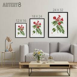 "Artery8 Trumpet Vine Flowers Redoute Vintage Black Framed Canvas Wall Art in White - Size: W12"" x H16""" - thumbnail 4