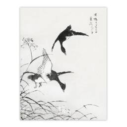 Artery8 Numata Kashu Framed Wall Art Tufted Duck & Reed Flower Japan - Size: A4 - thumbnail 3