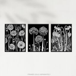 Artery8 Set of 3 Elegant Allium & Arisaema Flowers Artwork Paintings White on Black Unframed Wall Art Living Room Poster Prints Pack - Size: A4 - thumbnail 5