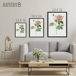 "Artery8 Rosa Gallica Giant Rose Floral Redoute Vintage Framed Canvas Wall Art in White - Size: W12"" x H16""" - thumbnail 4
