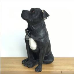 Animal Crackers Large Sitting Black Staffordshire Bull Terrier Figurine By Leonardo - thumbnail 4