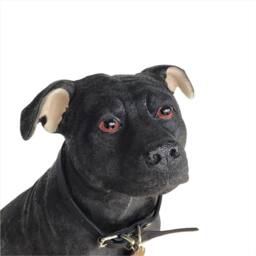 Animal Crackers Large Sitting Black Staffordshire Bull Terrier Figurine By Leonardo - thumbnail 3