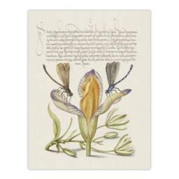 "Artery8 Damselflies on Spanish Iris Calligraphy Wall Art Poster Print in Beige - Size: W12"" x H16""" - thumbnail 1