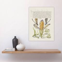 "Artery8 Damselflies on Spanish Iris Calligraphy Wall Art Poster Print in Beige - Size: W12"" x H16""" - thumbnail 4