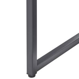 Wyld and Coco Black Powder-Coated Steel Cabinet with 2 Shelves - thumbnail 8