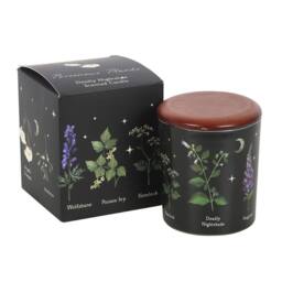 Something Different Deadly Nightshade Scented Candle in Black - thumbnail 2
