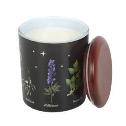 Something Different Deadly Nightshade Scented Candle in Black - thumbnail 1