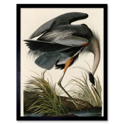 "Artery8 Wall Art Print Audubon Birds of America Great Blue Heron Coastal Bird Portrait Art Framed in Beige - Size: W12"" x H16""" - thumbnail 1