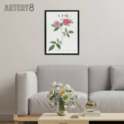 "Artery8 Hudson Rosehip Botanical Redoute Vintage Black Framed Canvas Wall Art in White - Size: W12"" x H16""" - thumbnail 3