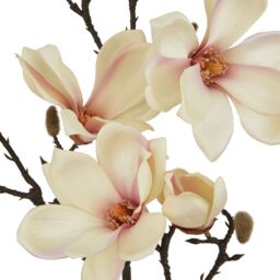 Love Lace Pale Apricot Magnolia Stem Artificial Flower in Pale Grey - thumbnail 2