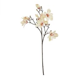 Love Lace Pale Apricot Magnolia Stem Artificial Flower in Pale Grey - thumbnail 1