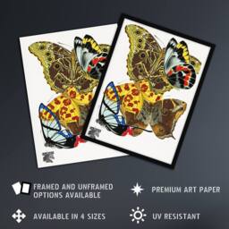Artery8 Papillons Bright Vintage Butterflies Framed Wall Art Print Eugene Seguy - Size: A4 - thumbnail 2