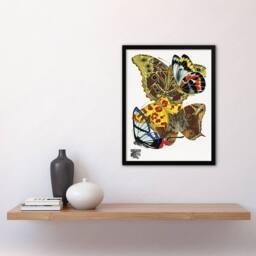 Artery8 Papillons Bright Vintage Butterflies Framed Wall Art Print Eugene Seguy - Size: A4 - thumbnail 4