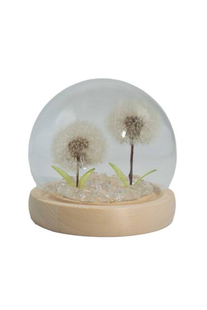 KDMD Floral Glow Garden Dome - 2 Dandelions LED USB Light in White - image 1
