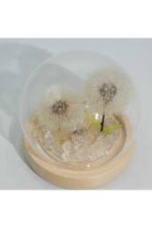 KDMD Floral Glow Garden Dome - 2 Dandelions LED USB Light in White - thumbnail 2