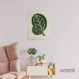 "Artery8 Vintage Botanical Maranta Calathea Leaves Fawcett Canvas Wall Art in Beige - Size: W24"" x H32""" - thumbnail 3